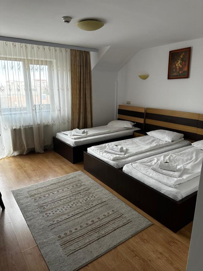 Pensiunea Andra Timişoara Exterior foto